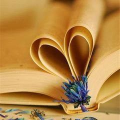 爱阅 | 书香致远：英华学子阅...